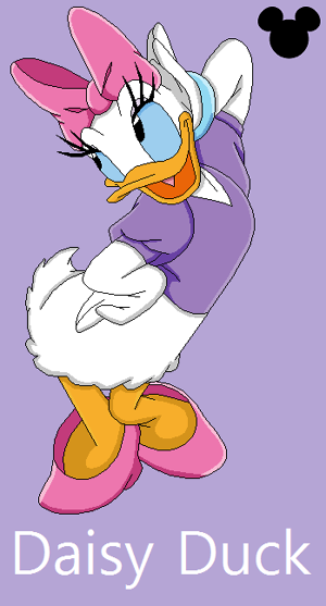 Coi daisy duck