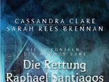 Die Rettung Raphael Santiagos