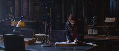 Clary-Bibliothek-City-of-Bones