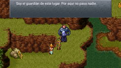 Nu Guardián