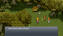 Mazo dorado