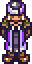 The Scholar