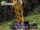VoodooDance
