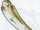 Fang (Material)