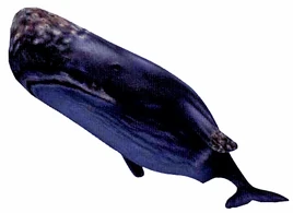 ChronoCrossBlueWhale