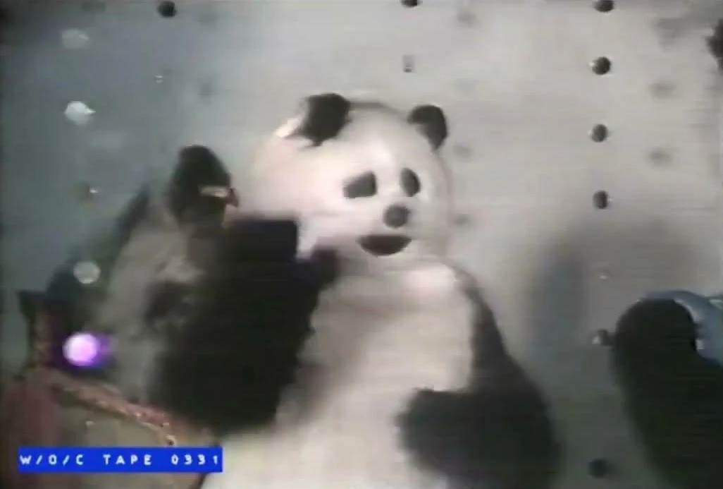 Pepi-roni | Chuck E. Cheese Wiki | Fandom