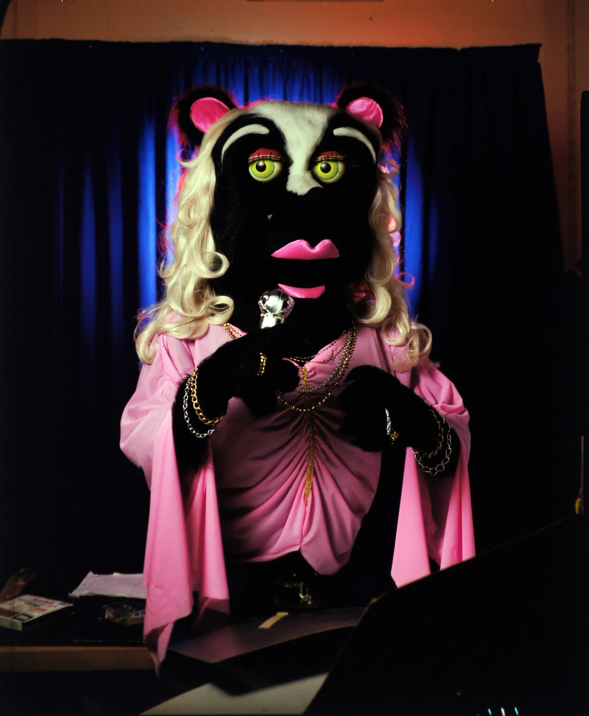 Sally Sashay Chuck E. Cheese Wiki Fandom