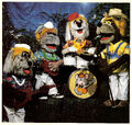 The Beach Bowzers