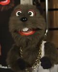 Justin Beaver
