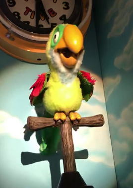Bird