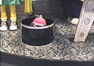 Close up of Munch Jr.