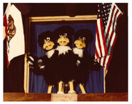 The Warblettes Cyberamic Animatronic (Prototype) (1979-1980)