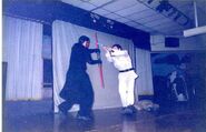 Alternate side view of the stage during a Star Wars live show.
