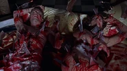 Diane and Russ' deaths in Bride of Chucky.