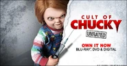 Cult of Chucky poster.