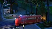 Park Patroller Wilson