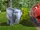 Wilson and the Elephant