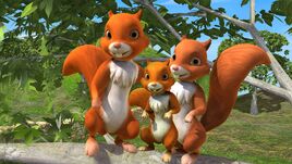 KokoandtheSquirrelspromo2