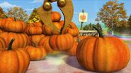 The pumpkin patch in the third season