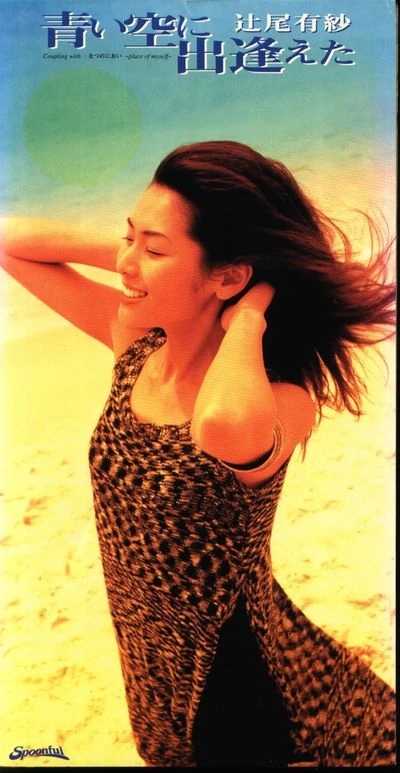 Aoi Sora ni Deaeta | Chuka Ichiban Wiki | Fandom