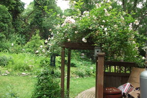 DSCF1039.jpg
