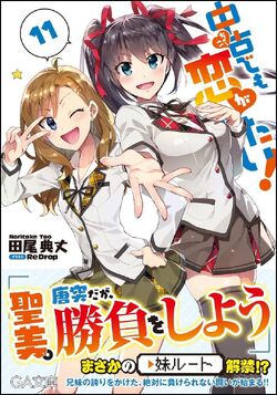 Volume 11