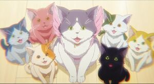 Chimera's Kittens.jpg