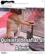 Primerdesafioadmin