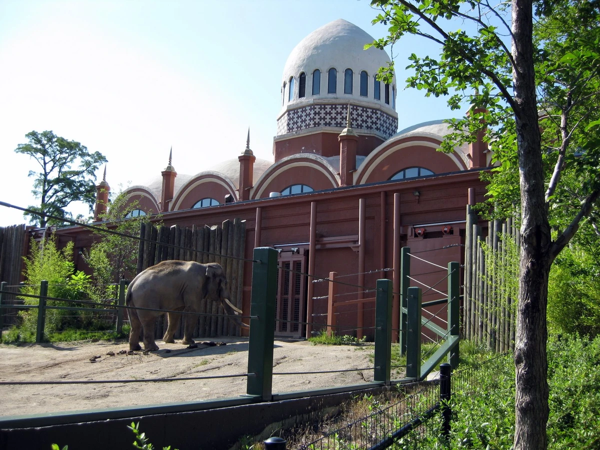 Elephant House (Cincinnati Zoo) Cincinnati Zoo and Botanical Garden Wiki Fandom