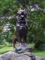 Balto32.jpg