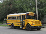 Coastal City School Bus crop