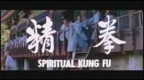 Spiritual Kung Fu