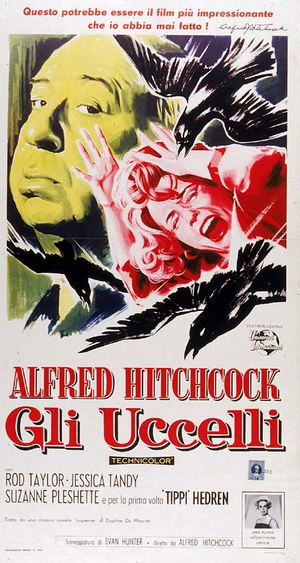 Gli uccelli