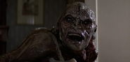 Noble Craig in Poltergeist II: The Other Side