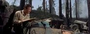 William Holden before his death in Love is a Many Spelendoard Thing