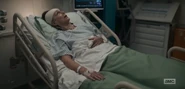 Killingeveharrietwalter.png (1.19 MB) Harriet Walter