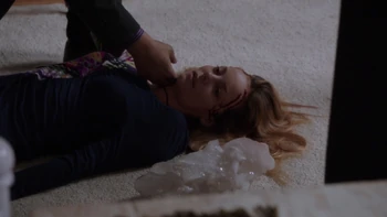 Bijou Phillips in Law & Order: Special Victim's Unit: Vanity's Bonfire