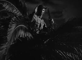 Barrynelson1