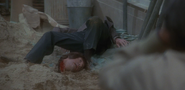 David Warner's death in The Omen