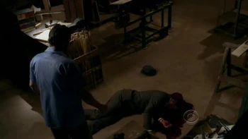 Bailey Chase in Cold Case: The Brush Man