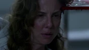 Robin Weigert