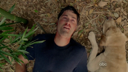 Matthew Fox