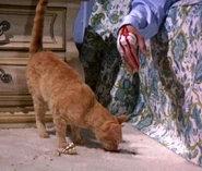 Leonard Nimoy dead (his hand) in Night Gallery: She’ll Be Company for You