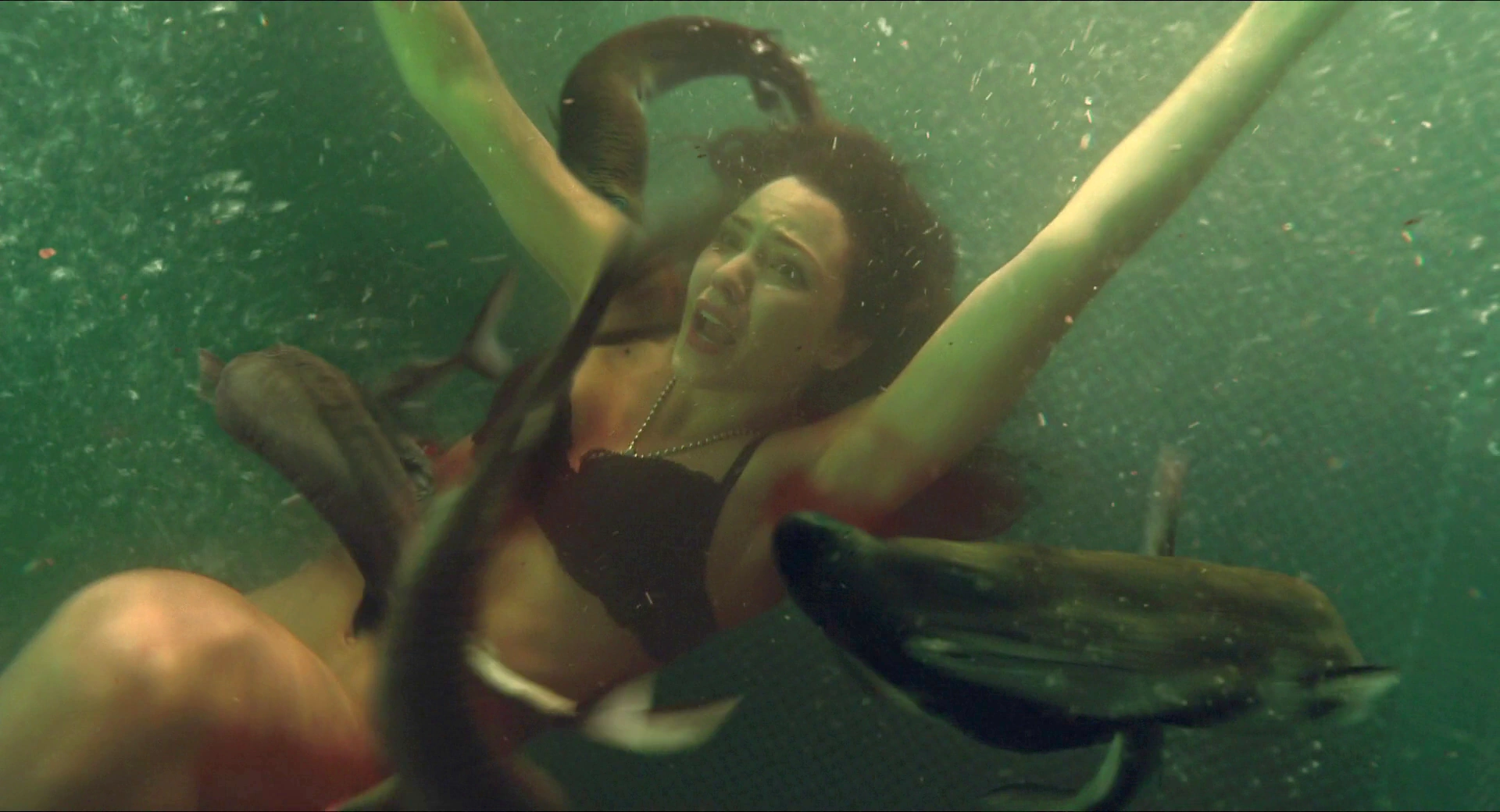 Katharine Mcphee Bikini Shark Night