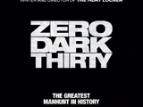 Zero Dark Thirty (2012)