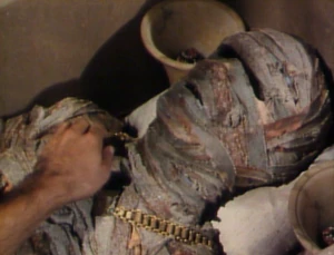 The mummy Arnold Stang in Tales from the Darkside: The Grave Robber