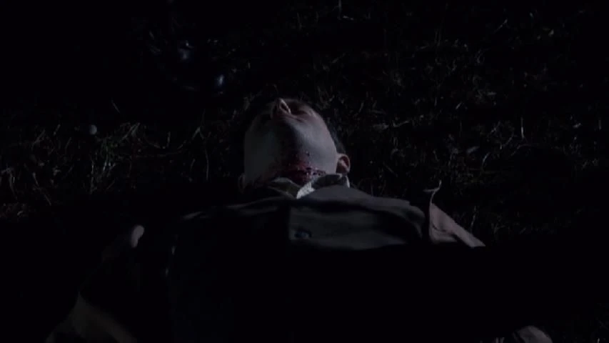 Andy Auld Wiki Fandom