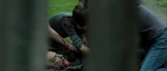 Shaun-of-the-Dead 7424 18.jpg (228 KB) Stuart Powell