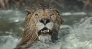 KeithDavid-Masego-MufasaTheLionKing.webp (346 KB) Keith David's animated character moments before his death in Mufasa: The Lion King