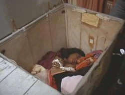 Rosanne Katon | Cinemorgue Wiki | Fandom